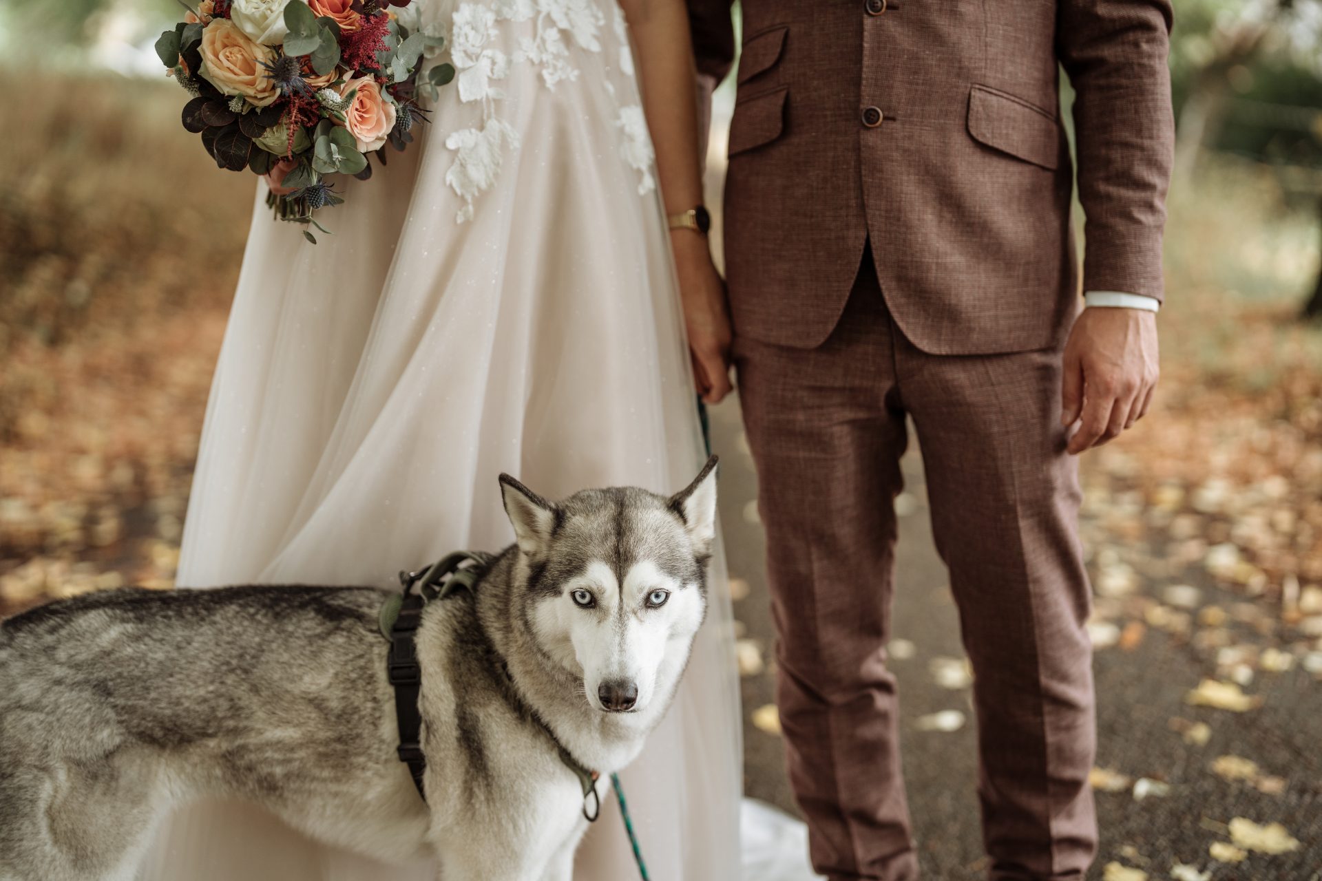 Boho Hochzeit, Hochzeitsfotografie mit Hund in Schwäbisch Hall